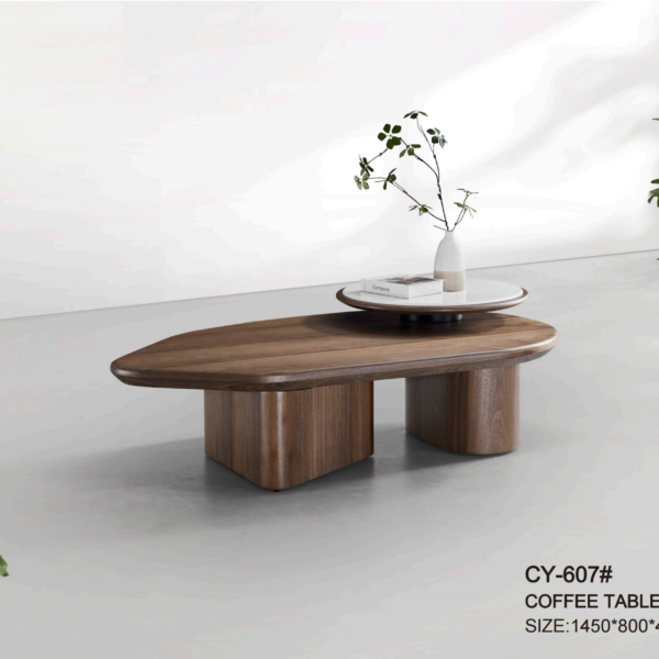 cheng yi yi jia product brochure 2026 扫描版 26